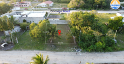Dream Big! Residential Lot in Corozal Bay, Belize.