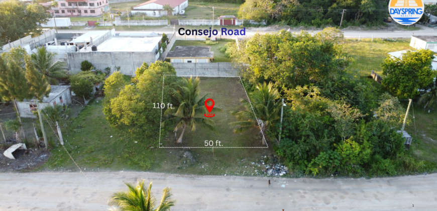 Dream Big! Residential Lot in Corozal Bay, Belize.