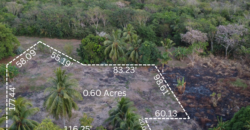 What a Bargain! Price Reduced 0.60 Acre Lot for Sale – San Antonio, Corozal, Belize