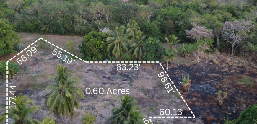 What a Bargain! Price Reduced 0.60 Acre Lot for Sale – San Antonio, Corozal, Belize