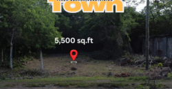 “Your Slice of Caribbean Bliss: Exceptional Lot for Sale in Corozal Bay!” Belize.