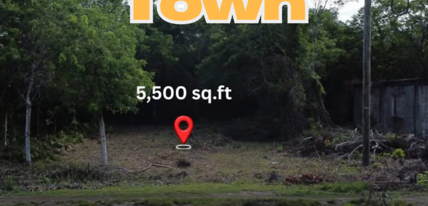 “Your Slice of Caribbean Bliss: Exceptional Lot for Sale in Corozal Bay!” Belize.