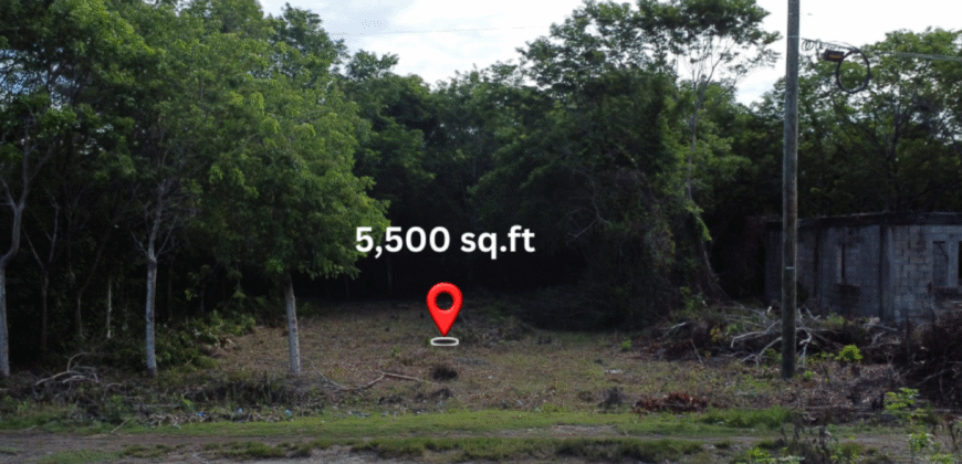 “Your Slice of Caribbean Bliss: Exceptional Lot for Sale in Corozal Bay!” Belize.