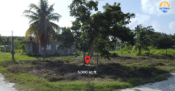 “Price Reduced Ranchito Retreat: Your Gateway to Tranquility”