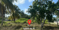 “Price Reduced Ranchito Retreat: Your Gateway to Tranquility”