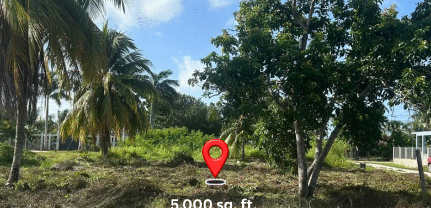 “Price Reduced Ranchito Retreat: Your Gateway to Tranquility”