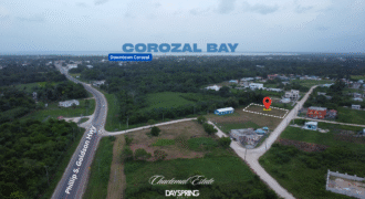 “Build Your Dream in Belize’s Best-Kept Secret—Chactemal Estate”