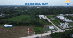 “Build Your Dream in Belize’s Best-Kept Secret—Chactemal Estate”