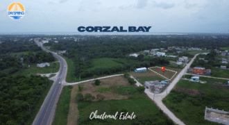 “Corozal Charm Meets Space & Serenity – 0.607 Acres in Chactemal Estate”
