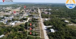 🏡 Three quarter acre lots by Corozal Community College – Corozal Town, Belize