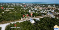 🏡 Three quarter acre lots by Corozal Community College – Corozal Town, Belize