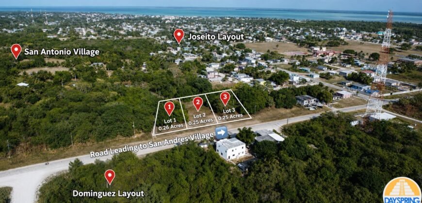 🏡 Three quarter acre lots by Corozal Community College – Corozal Town, Belize