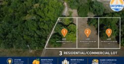 🏡 Three quarter acre lots by Corozal Community College – Corozal Town, Belize