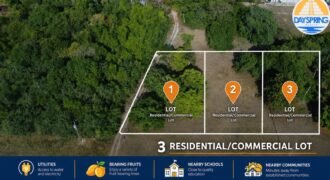 🏡 Three quarter acre lots by Corozal Community College – Corozal Town, Belize