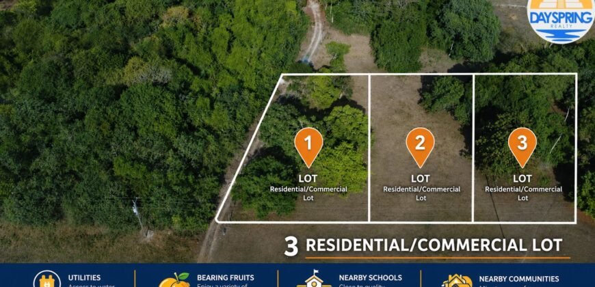 🏡 Three quarter acre lots by Corozal Community College – Corozal Town, Belize