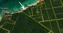 Virgin Land at Cerros, Corozal, Belize.