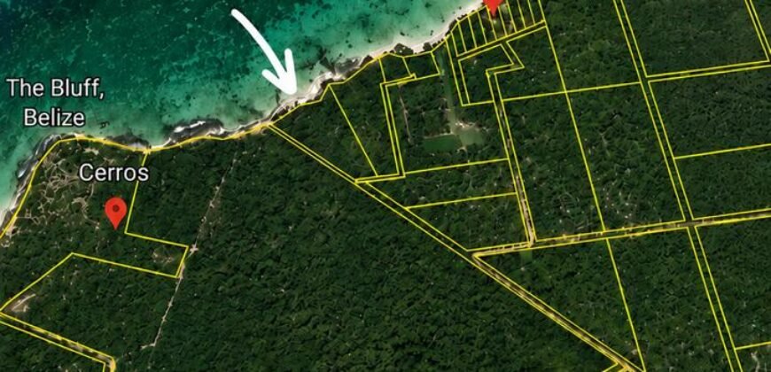 Virgin Land at Cerros, Corozal, Belize.