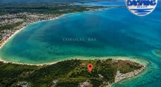 Virgin Land at Cerros, Corozal, Belize.