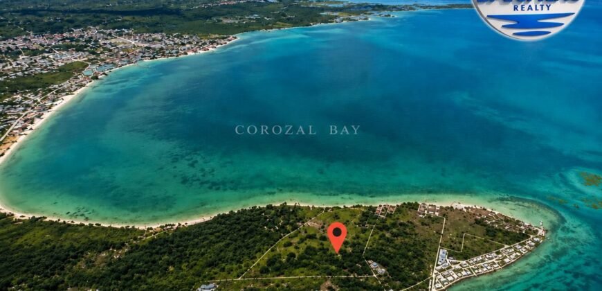 Virgin Land at Cerros, Corozal, Belize.
