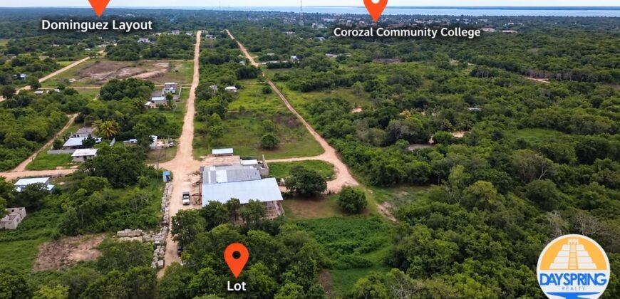 Serene Lot in Corozal Town, Belize