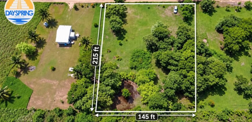 Land for Sale in Beautiful Patchakan Village, Corozal District, Belize