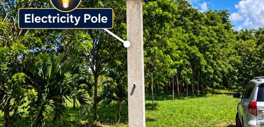 Land for Sale in Beautiful Patchakan Village, Corozal District, Belize